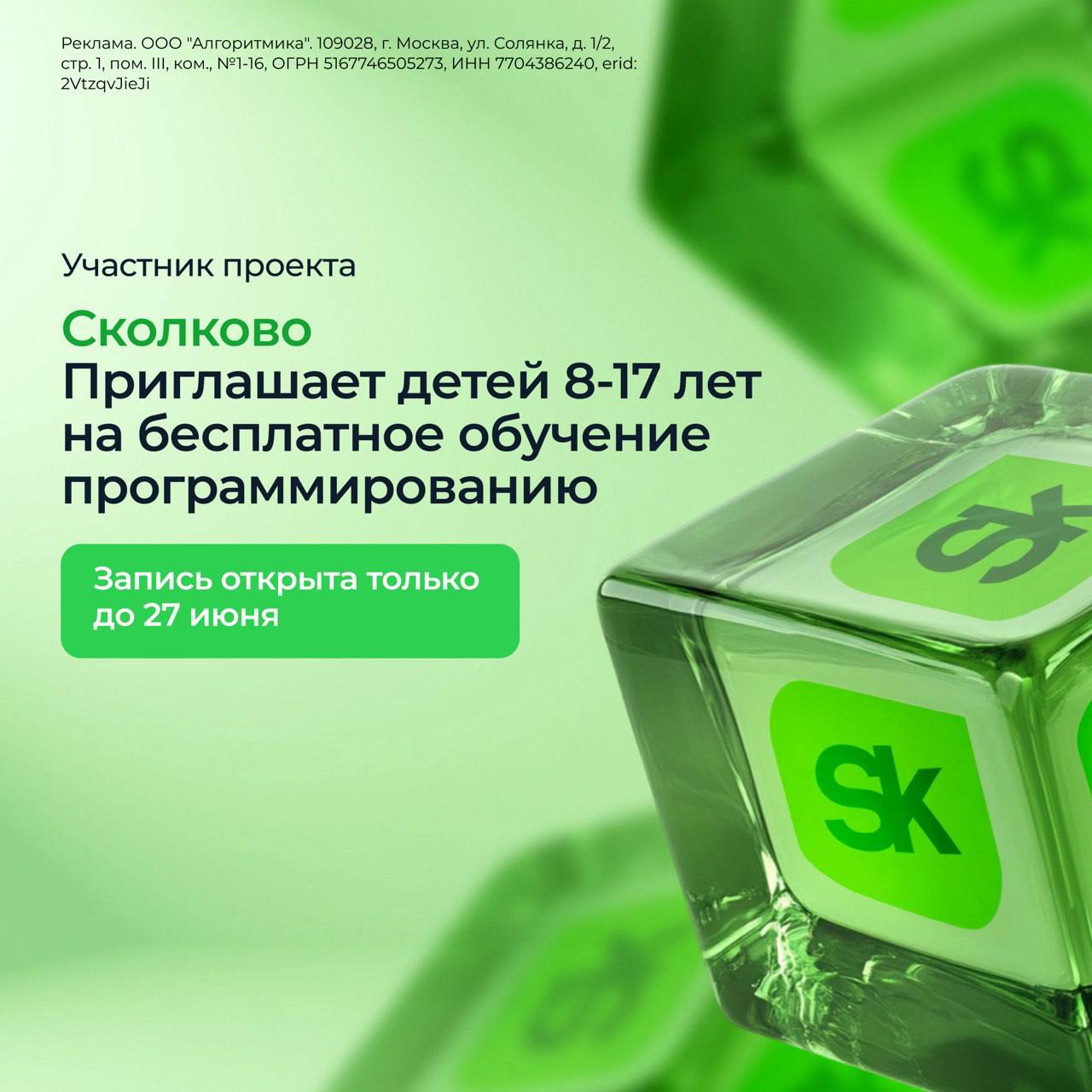 алгоритмика.jpg